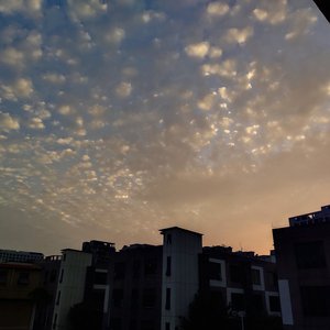 女性与人黄鳝交酡全过
