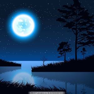 女性与人黄鳝交酡全过
