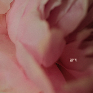 女性与人黄鳝交酡全过
